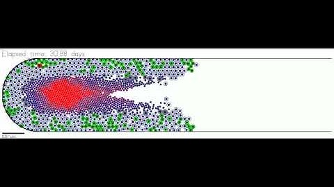 Ductal carcinoma in situ (DCIS) simulation - extended results