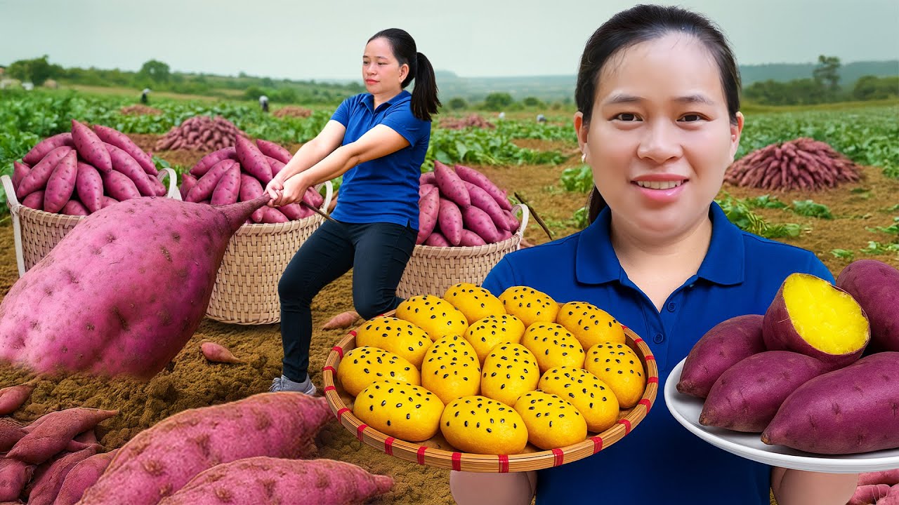 秋の味覚🍂畑でサツマイモ収穫＆さつまいも揚げ菓子作り🍠