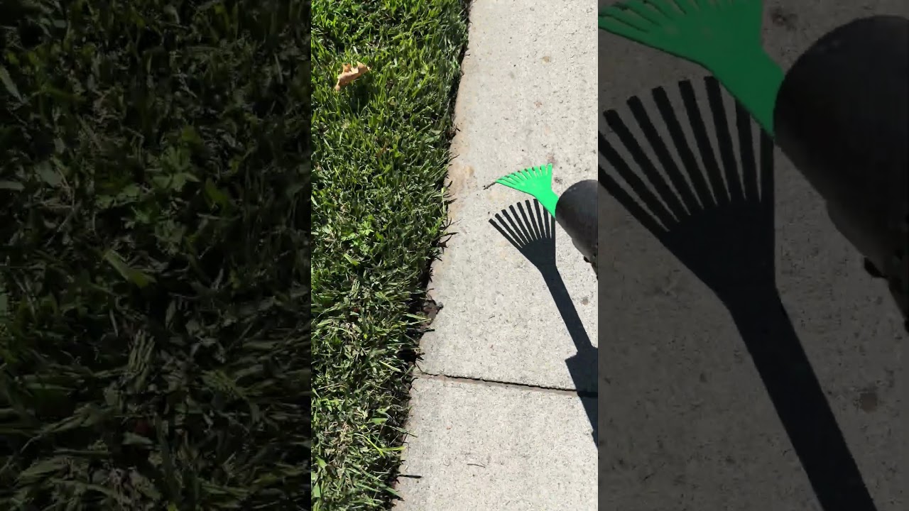 Yarduty vs. Your Edges