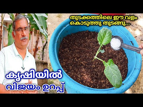 Urea Fertilizer | How to use Urea Fertilizer on Plants Malayalam | Nitrogen Fertilizer for Plants