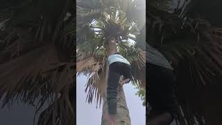 #blog video 📷#comedy #viral #video