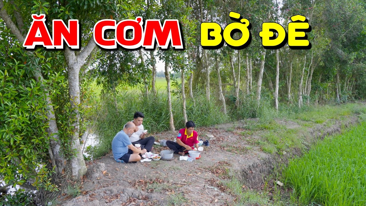 Việt Kiều Về Quê Trải Nghiệm Chạy Ghe Đi Ăn Cơm Bờ Ruộng Dân Dã
