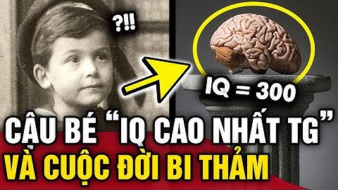 Bi kịch của CẬU BÉ IQ CAO NHẤT THẾ GIỚI, thiên tài trẻ tuổi nhất từng đỗ đại học Havard | Tin 3 Phút