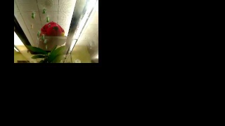 Bay County Library System Live Stream
