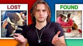 Danny Motta's Lost Dog | The True Story