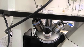 Inverted Microscope Explanation