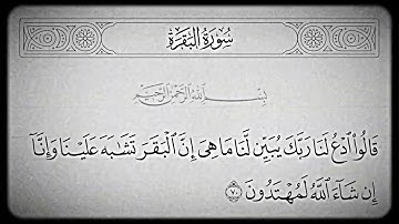 سورة البقرة | تلاوة علي جابر | الآية 70