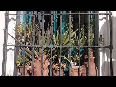 أبهى حلة لفندق قريب من قصر الحمراء غرناطة   