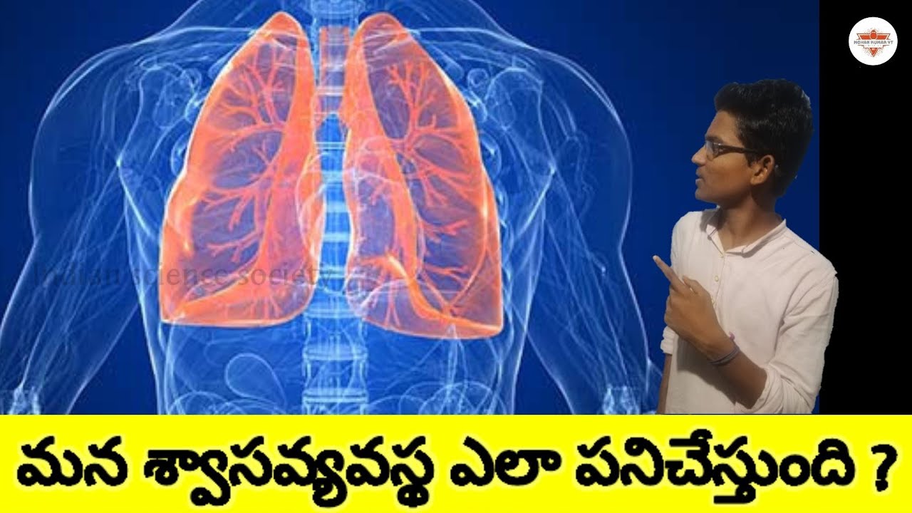 How respiratory system works ? Explained in Telugu INDIAN SCIENCE