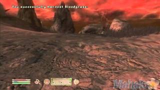Elder Scrolls 4 Oblivion Side Quest Walkthrough - Vampire Cure Part 3(Check out Bas Rutten's Liver Shot on MMA Surge: http://bit.ly/MMASurgeEp1 http://www.mahalo.com/OblivionWalkthrough Check out more Elder Scrolls IV: ..., 2011-03-18T07:31:59.000Z)