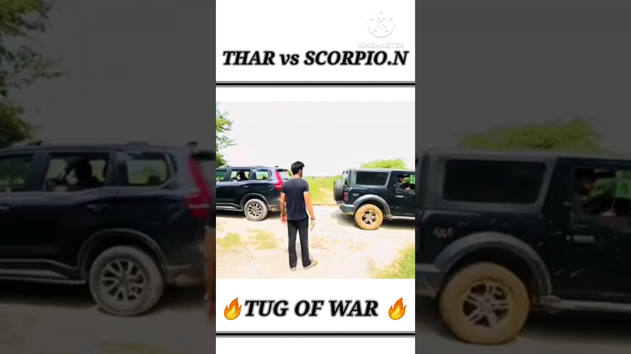 THAR vs SCORPIO.N  TUG OF WAR 🔥🔥🔥🎉