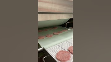 JBT Foodtech - Frigoscandia Gyrocompact Spiral Freezer #7410