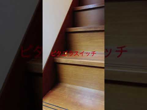 ショート　ピタゴラスイッチ