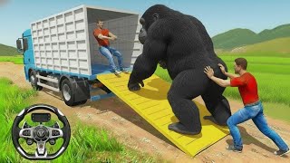 Wild Zoo Animal Cargo Truck simulator 3d game - Black big Monkey transport simulation  Android Game screenshot 3
