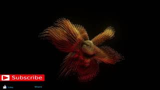  Judul  Cinta Segitiga dangdut