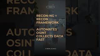 Day 6/30 Days of Cybersecurity Tools 🔥Tool: Recon-ng#CyberSecurity #OSINT#Reconng#cyberaura #ethical