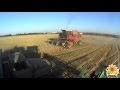 Уборка пшеницы двумя комбайнами ДОН-1500Б и ДОН-1500А