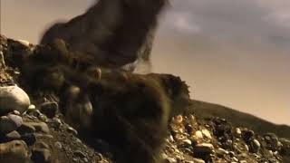 Speckles The Tarbosaurus But With Wile E Coyote Reupload