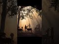 ఉదయపుబంగారుకిరణాల్లోచిన్నారులు, జింకలు#GoldenHour#KidsAndWildlife #MorningMagic #SaveWildlife