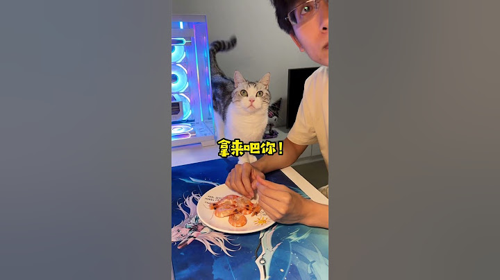 不就吃了你一个虾嘛!#心思全写在脸上的猫 #猫咪的不服全写在脸上