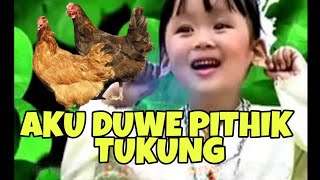 Aku duwe pithik tukung - lagu dolanan jowo lawas (Lagu daerah yogyakarta)