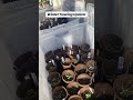 Winter Sowing Update - 4/7/26