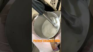 Perfect Steamed Milk steam milk  coffeemaker  educational youtube shorts