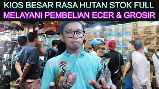 🌟 KIOS BURUNG BESAR RASA HUTAN STOKNYA FULL MELAYANI ECER & GROSIR DI PASAR BURUNG PRAMUKA HARI INI