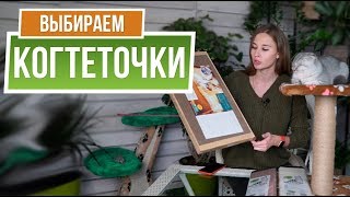 Обзор Всех Когтеточек  для Кошек ✔️ Какую выбрать когтеточку