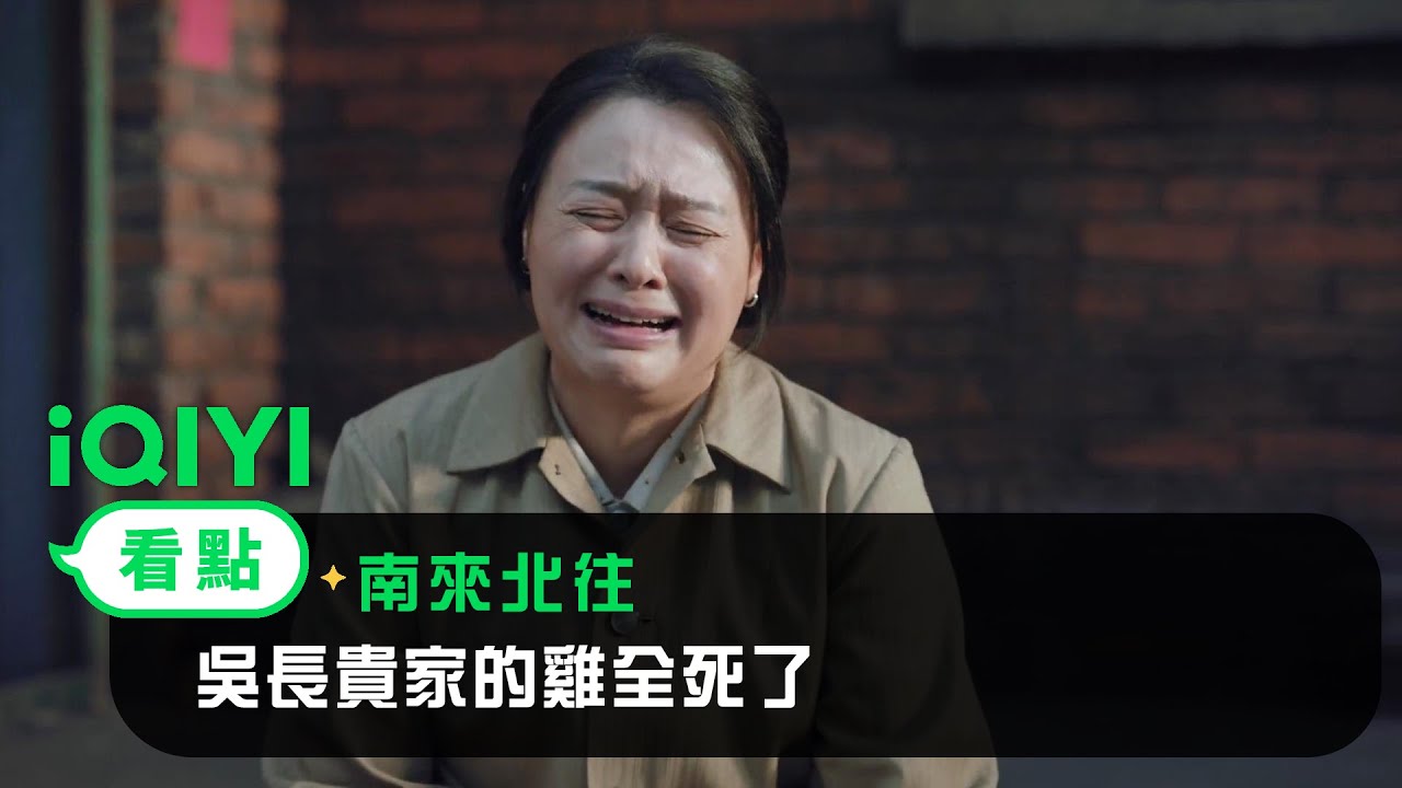 《南來北往》EP03看點：吳長貴家的雞全死了 | 愛奇藝