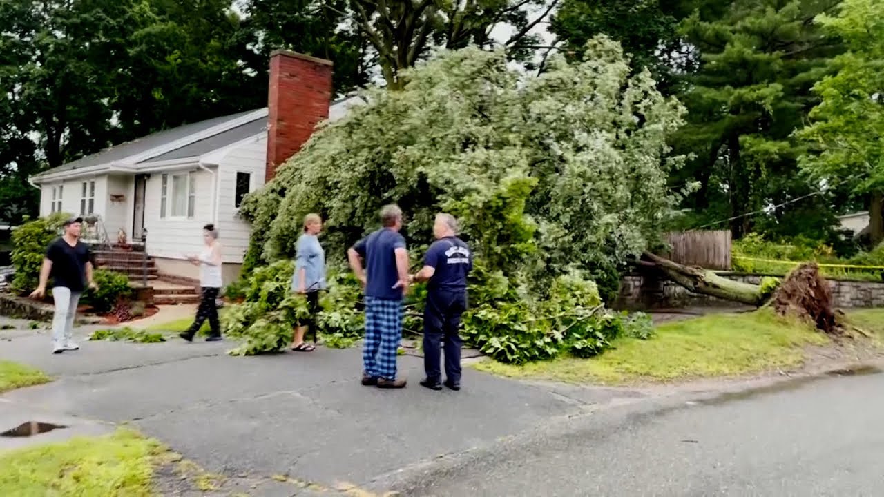 Trees toppled, power lines down as storms roll through Massachusetts
