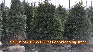 We are Unloading A Tractor Trailer Load of Trees   in this video