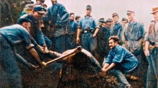 The Ruthless Retribution Against Reich Collaborators in 1945