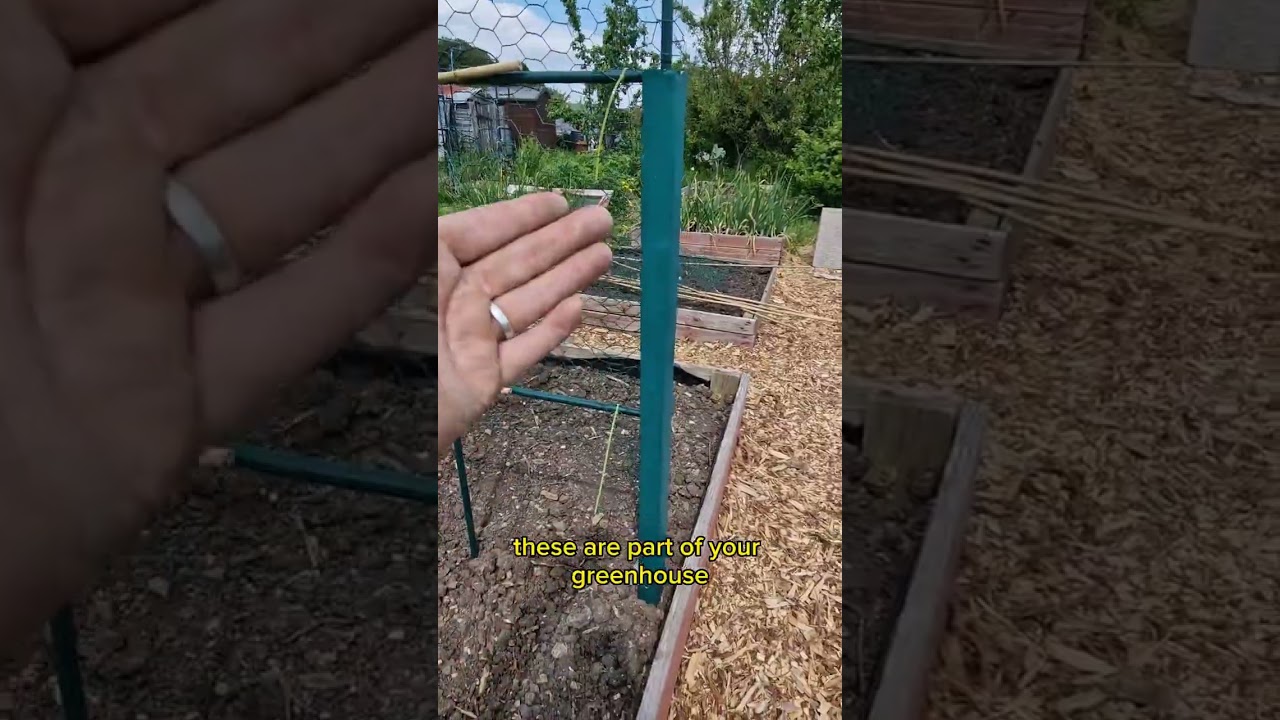 Squash Arch Project - How I built & supported the structure.