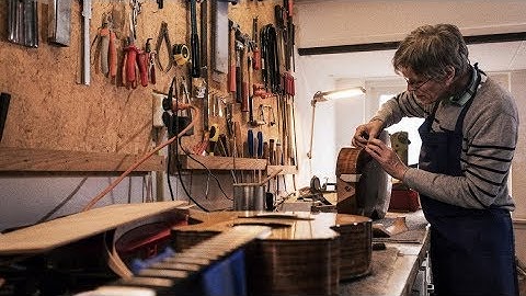 Zager Easy Play Guitars