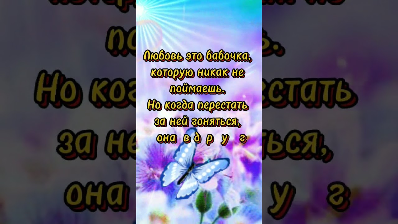 Мудрые слова о любви