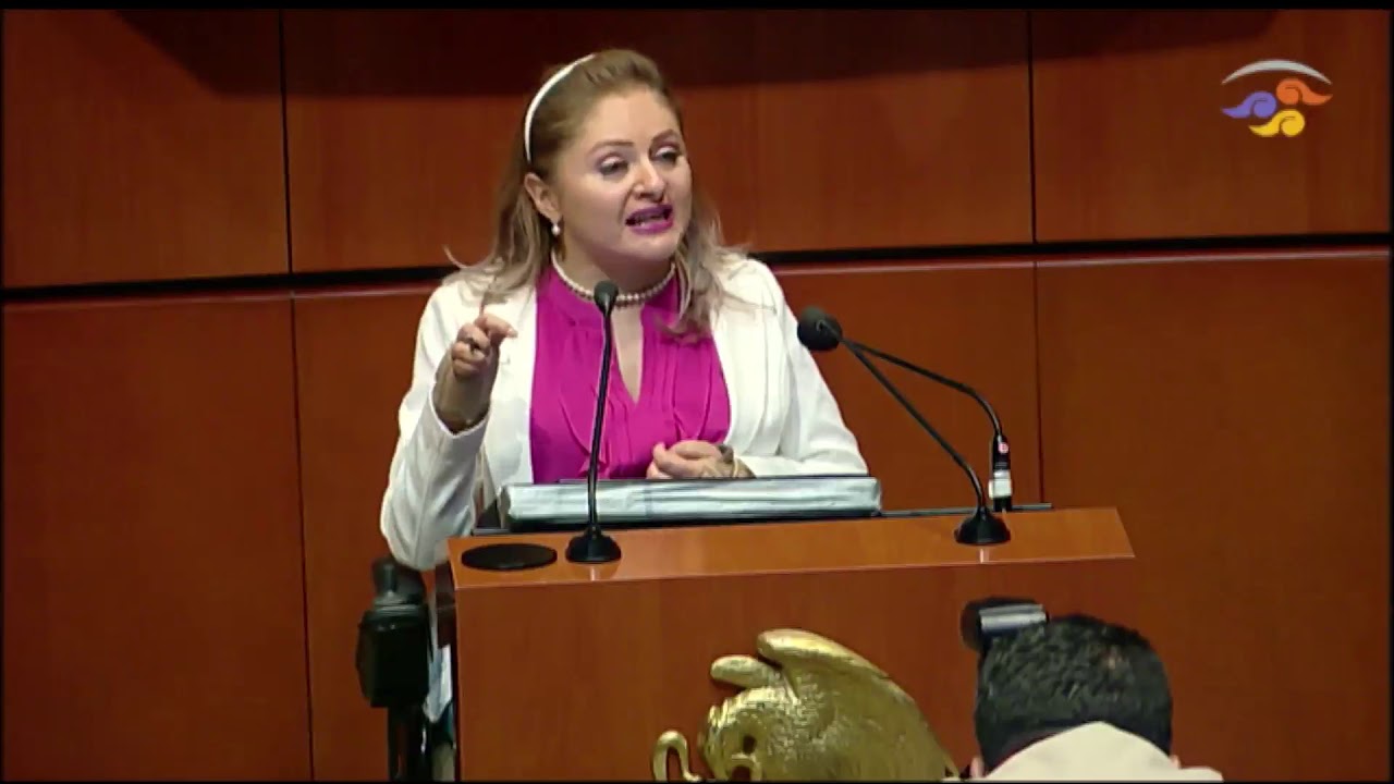 Sen. Claudia Anaya: Pide no suspender verificaciones respecto al uso de explosivos y armas senador kahulugan