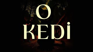 BU KEDİ NORMAL DEĞİLDİ./KORKU HİKAYESİ #korkuhikayesi #korkuhikayeleri #korku #gerilim #paranormal