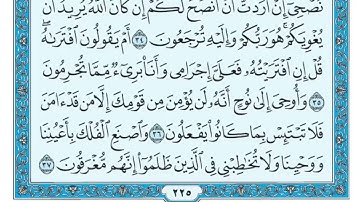 سورة هود مكتوبة بصوت ماهر المعيقلي