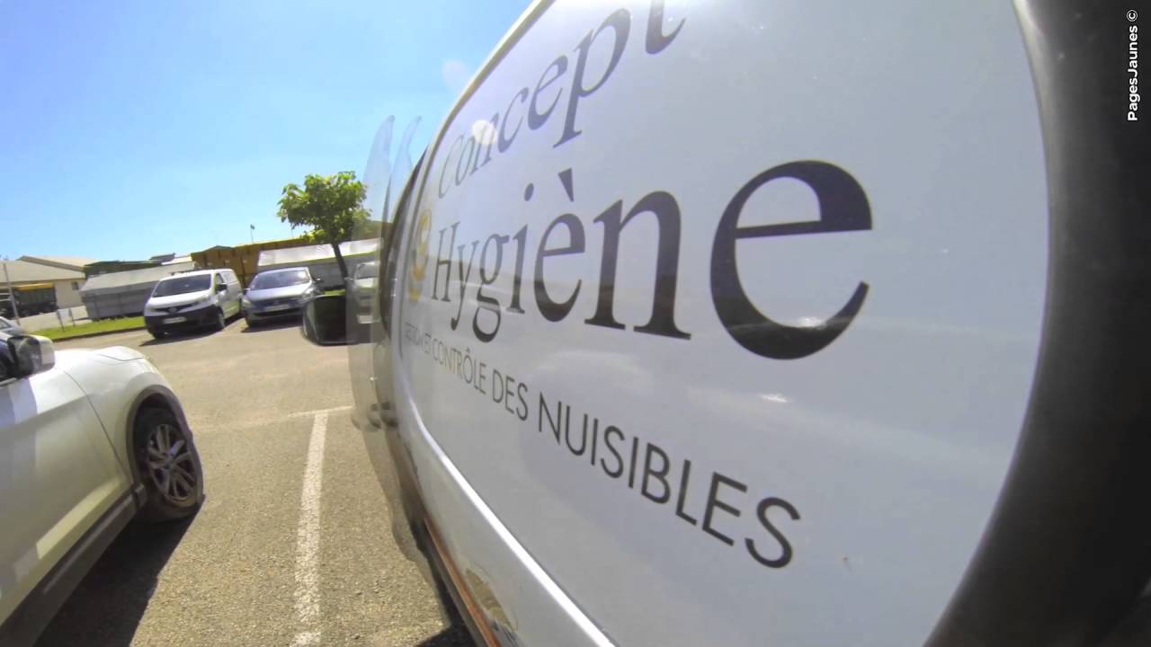 Entreprise désinsectisation - Stop aux nuisibles à Auch, Estillac, Bouglon - Concept Hygiène