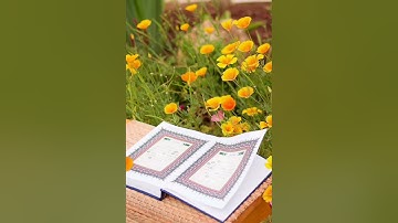 تلاوة اكثر من رائعة لآيات الصوم للشيخ عبد الباسط عبد الصمد