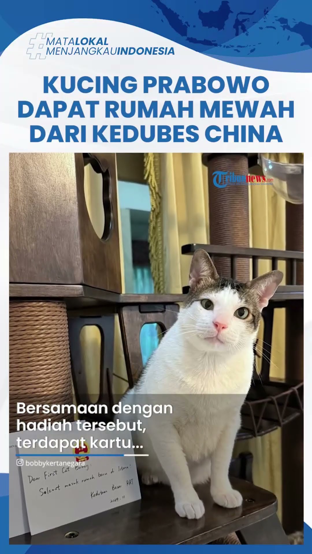 Bobby Kertanegara Kucing Presiden Prabowo Terima Hadiah Rumah dari Kedubes China, Gratifikasi?