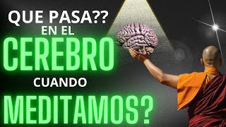 DESCUBRE Cómo la Meditación Transforma Tu Cerebro ondas cerebrales y bienestar