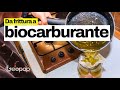 L'olio di frittura può diventare biocarburante: siamo andati nella bioraffineria di Venezia
