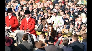 Faugheen - Ladbrokes Champion Stayers Hurdle, Punchestown Festival (2018) Wealth
