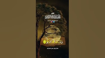 #قرآن #تلاوة #quran #quranvideo #سورة_محمد #القارئ #الشيخ #محمد #عبدالباسط #الهاشمي