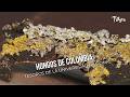 Hongos de Colombia: Tesoros de la Universidad Nacional - TvAgro por Juan Gonzalo Angel
