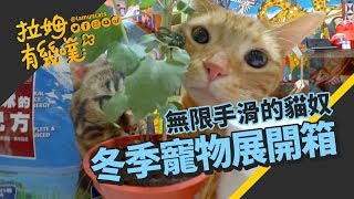 Taipei Pets Show 2017 IILAMUNCATS ☁