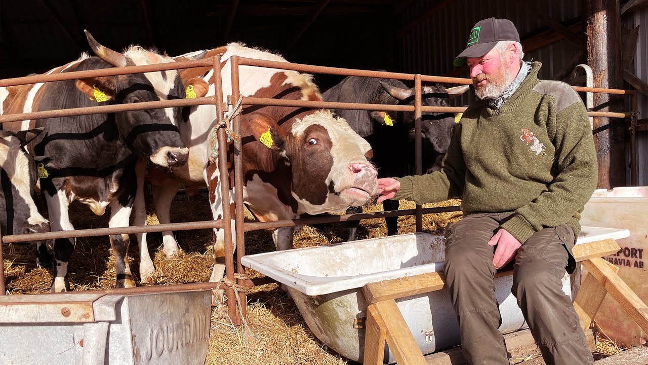 Besøg af vegetarer | Den glade bondemand S2E2
