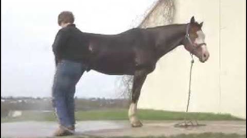 Gee Im Gorgeous   ***For up-to-date info, price, etc., go to our website***